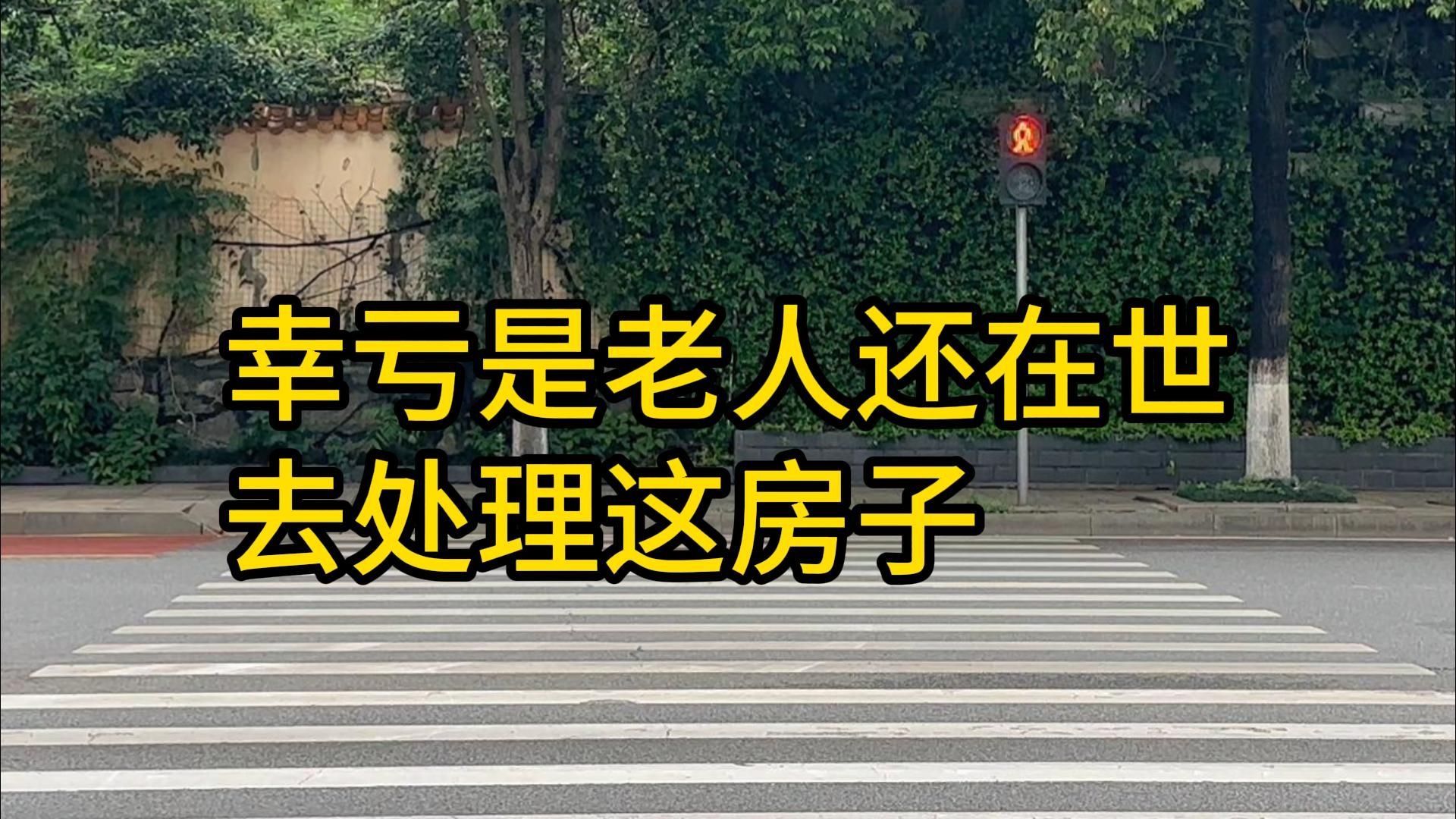 成全免费观看在线观看第4集预告：精彩剧情抢先看！