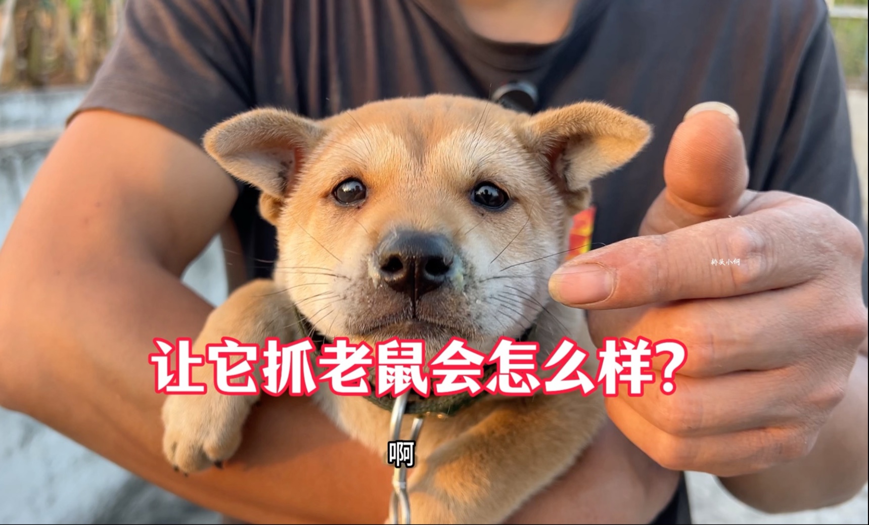 老校工事件揭秘：老校工玩的王琼老师是哪个班的？