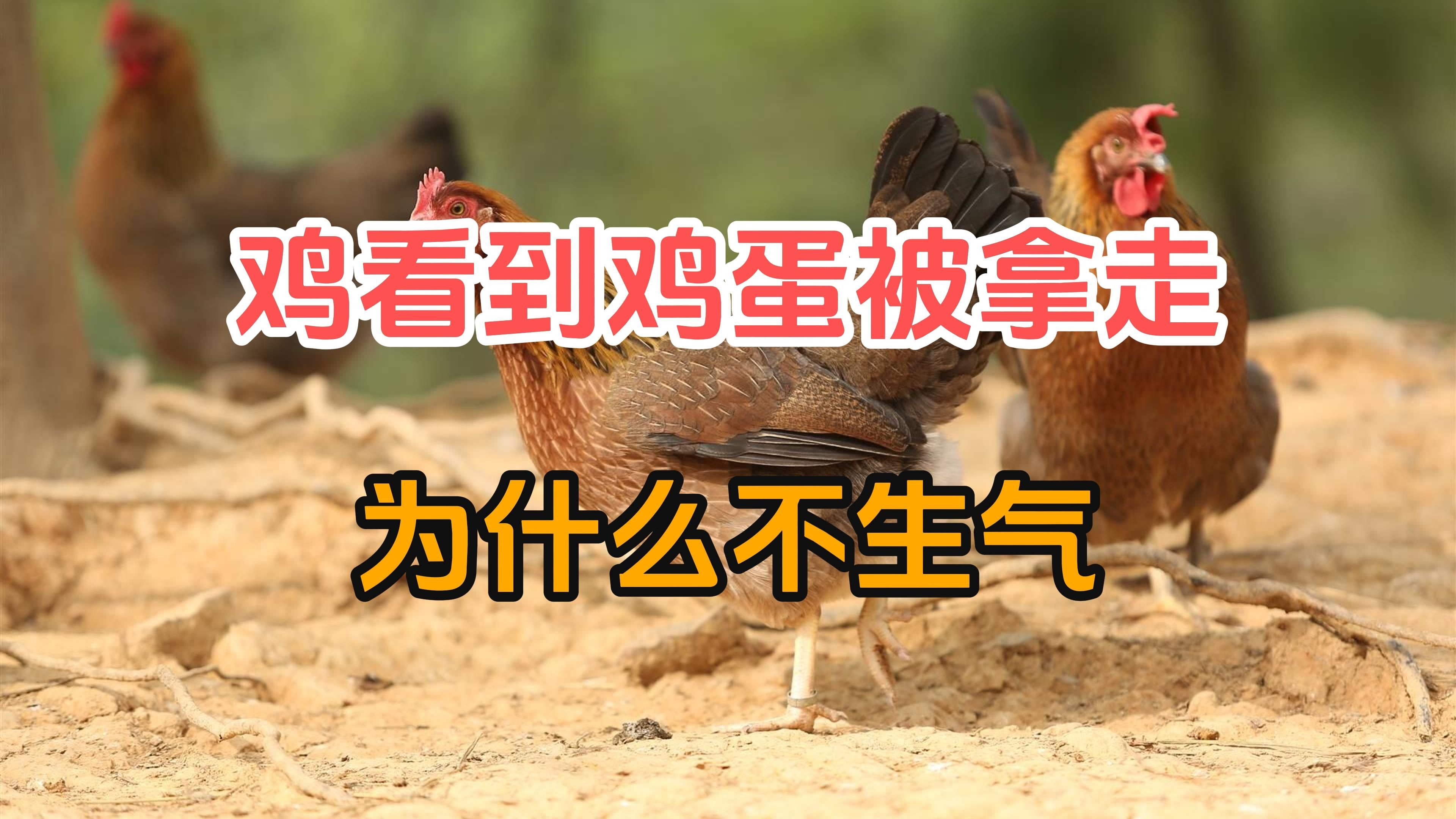 美女被黑人40厘米进入：深度解析与安全指南