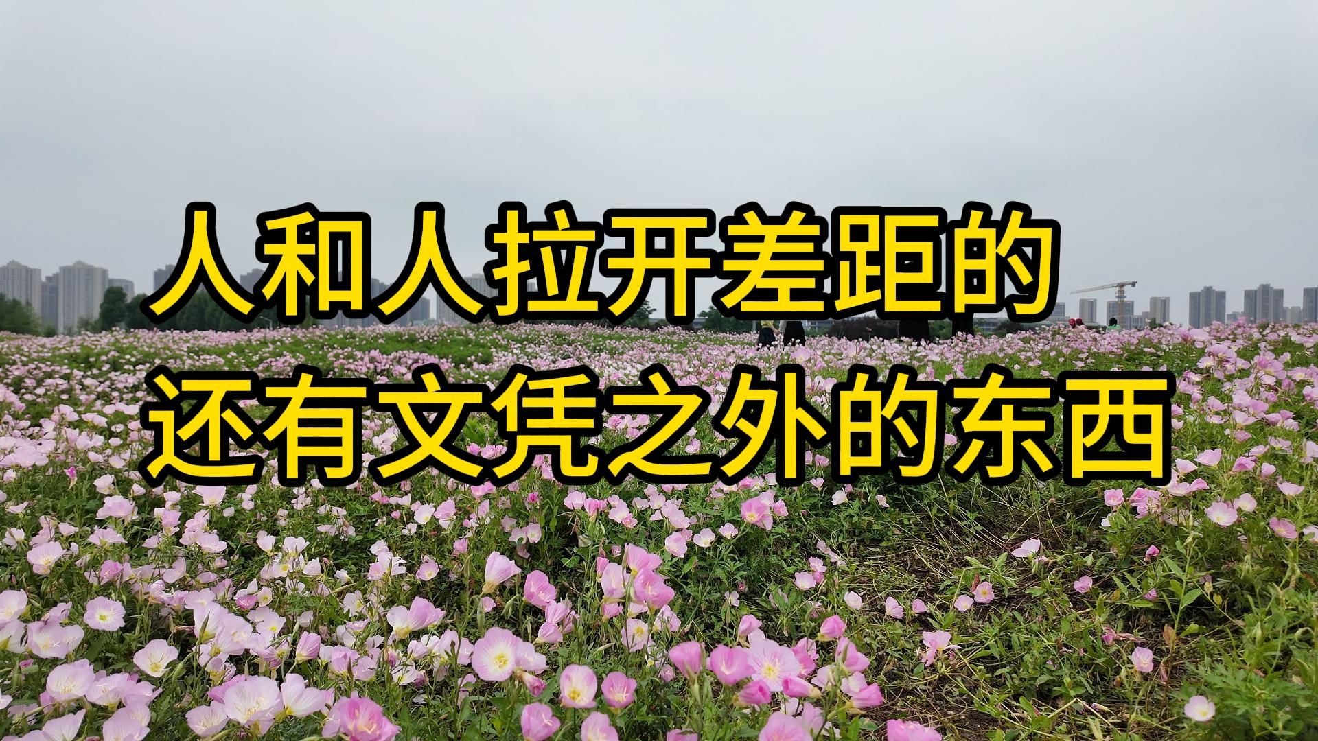 深夜福利！夜月直播视频免费看，告别寂寞！