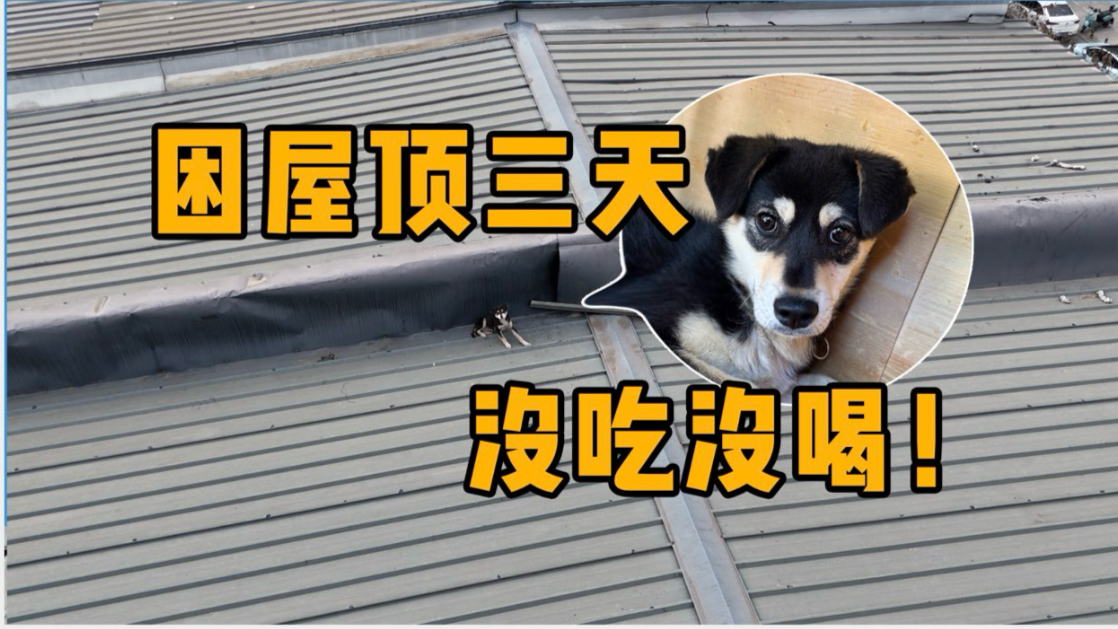 黑帽门视频风波亲历：我的网络安全血泪史