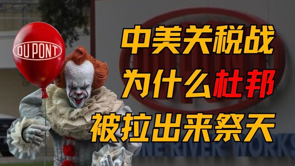 Zoom人与Zoom视频：我的线上奇遇记