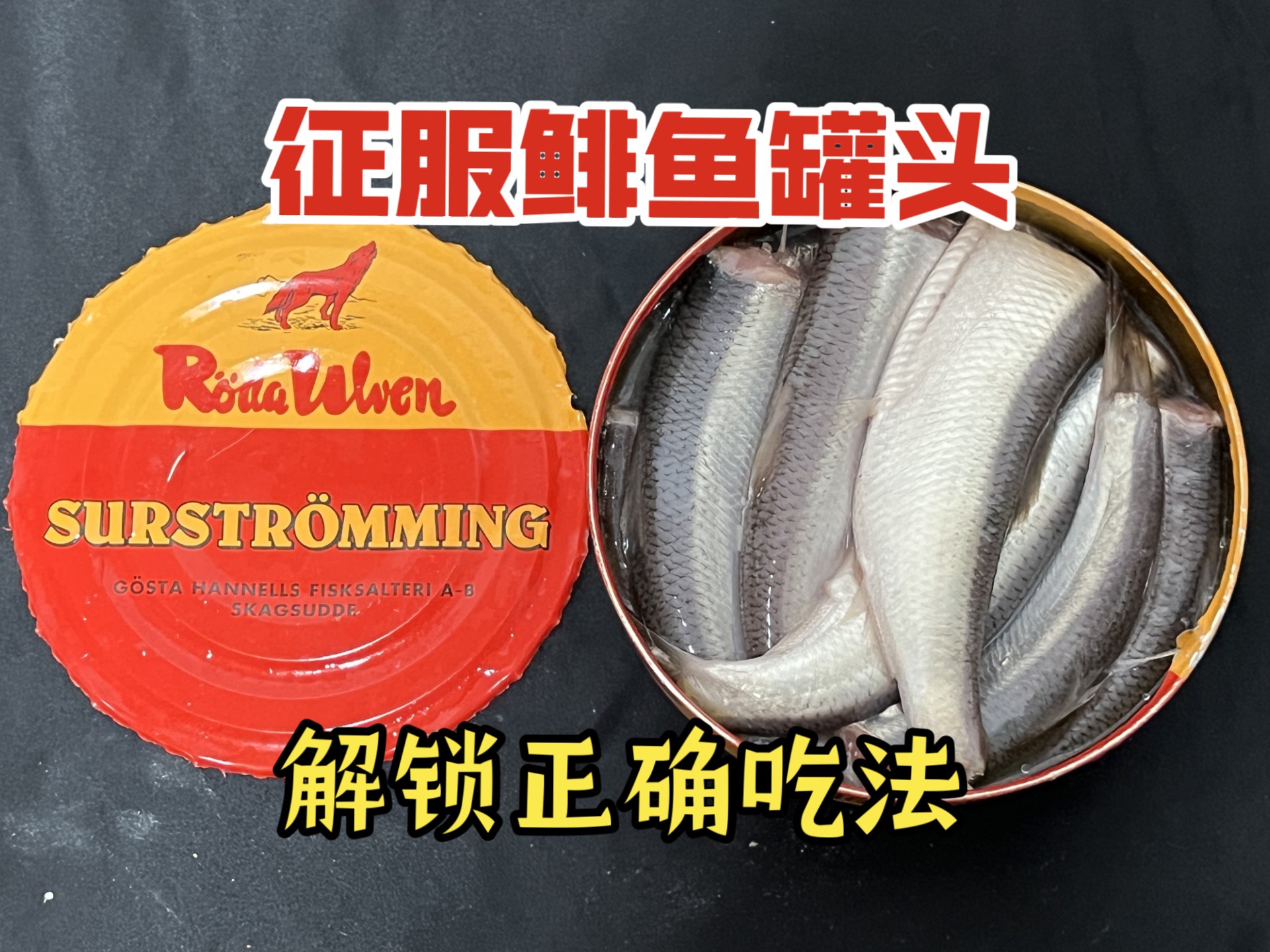 肉嫁高柳内嫁动漫：我的痴迷与寻找之旅