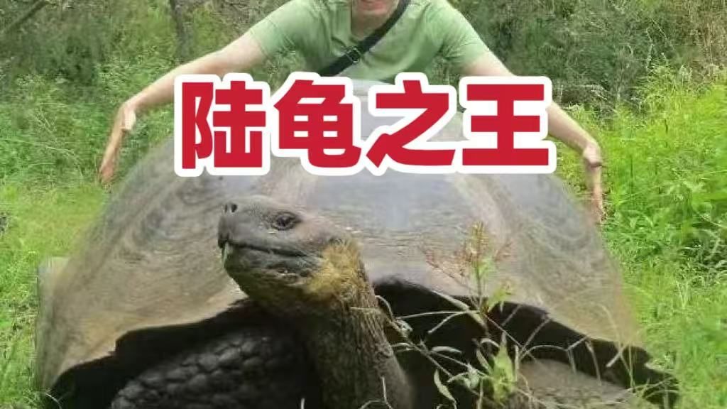 ROG DAY星城燃动，路由军团多维度诠释电竞信仰新高度