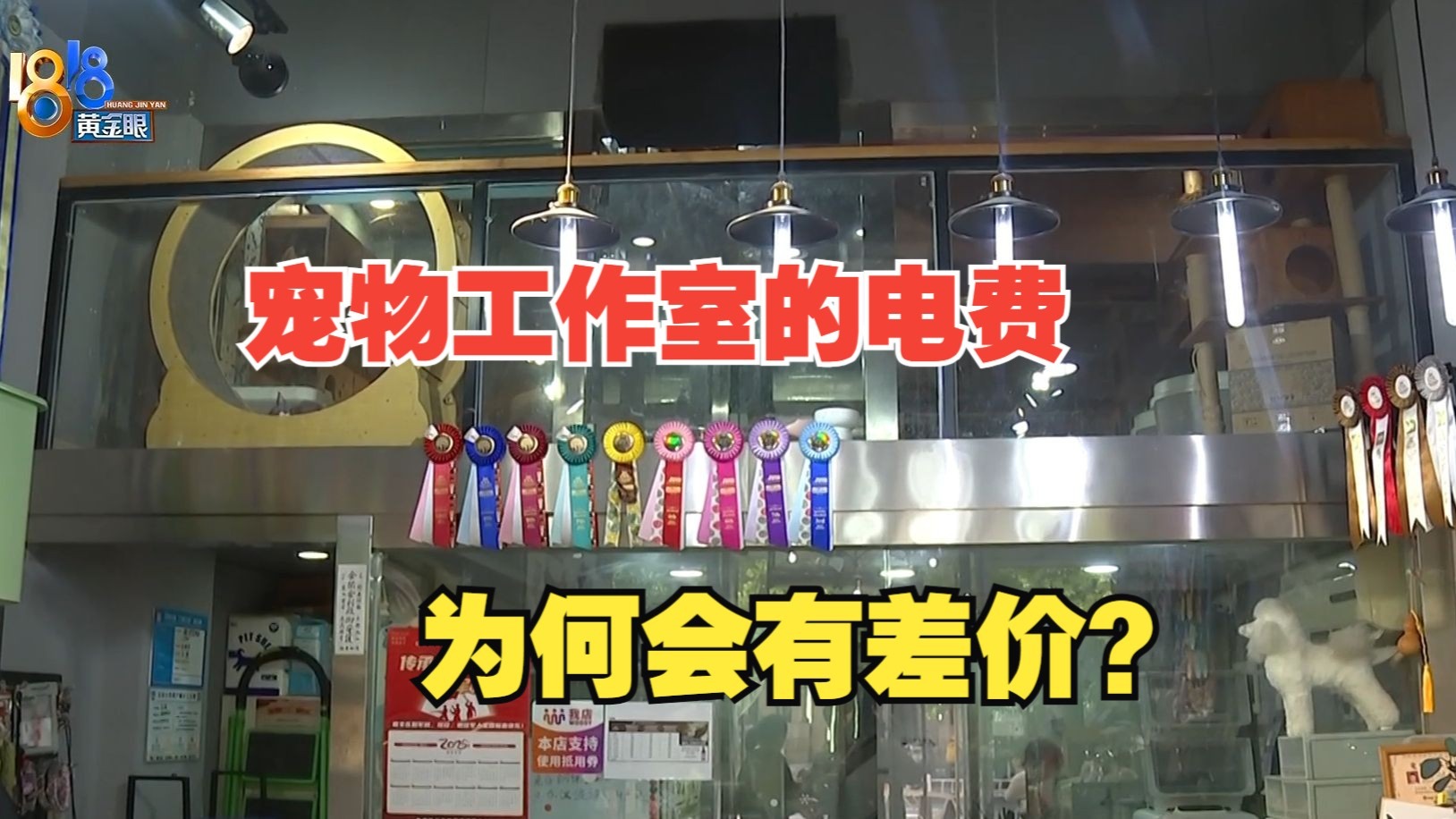 AV77：揭秘我从小白到大神的技术进阶之路