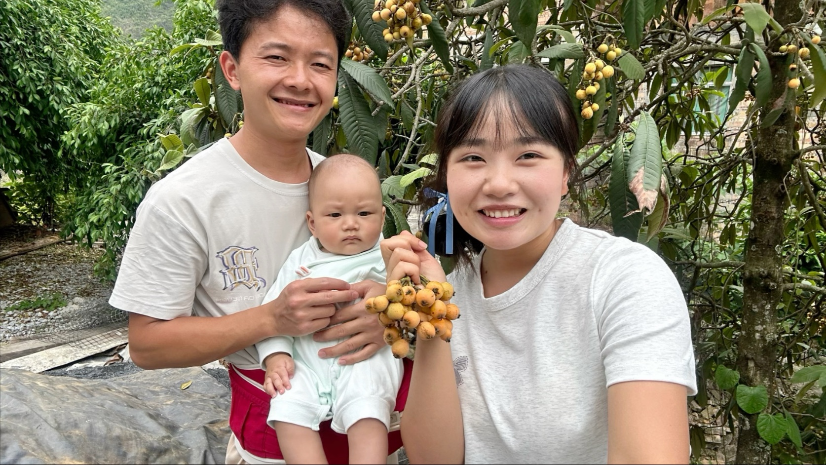 校园绑定JY收集系统：高效便捷的学生信息管理平台详解