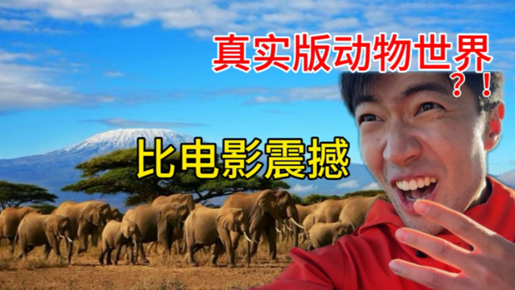 寻找快乐的秘密花园：我在开心四房色播网的奇妙体验