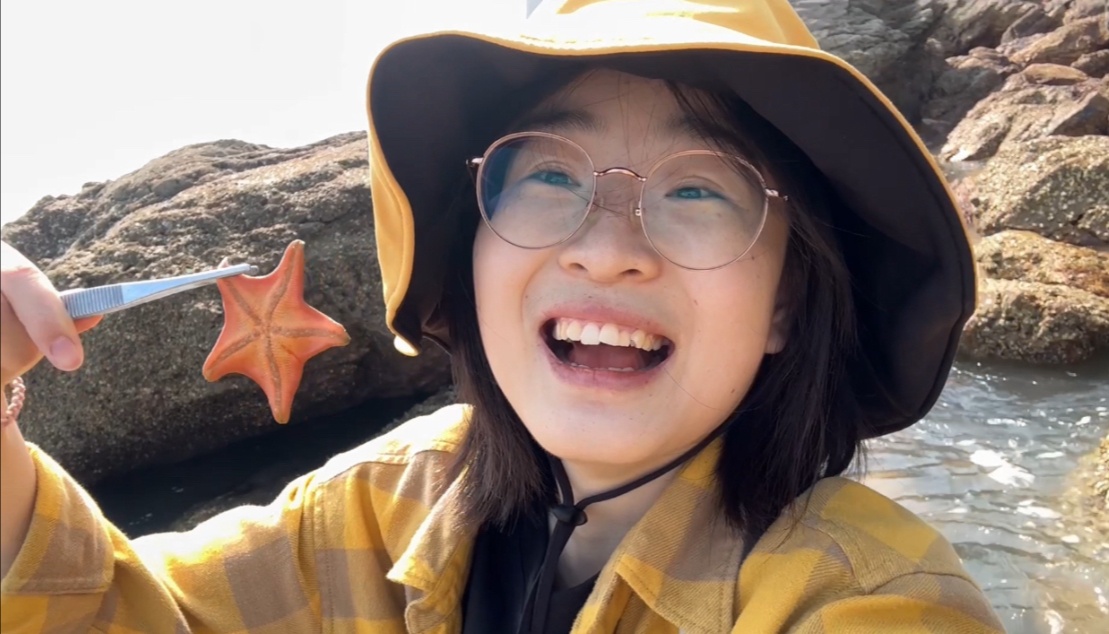 SteamWorkshop魅魔下载指南：轻松获取与安装