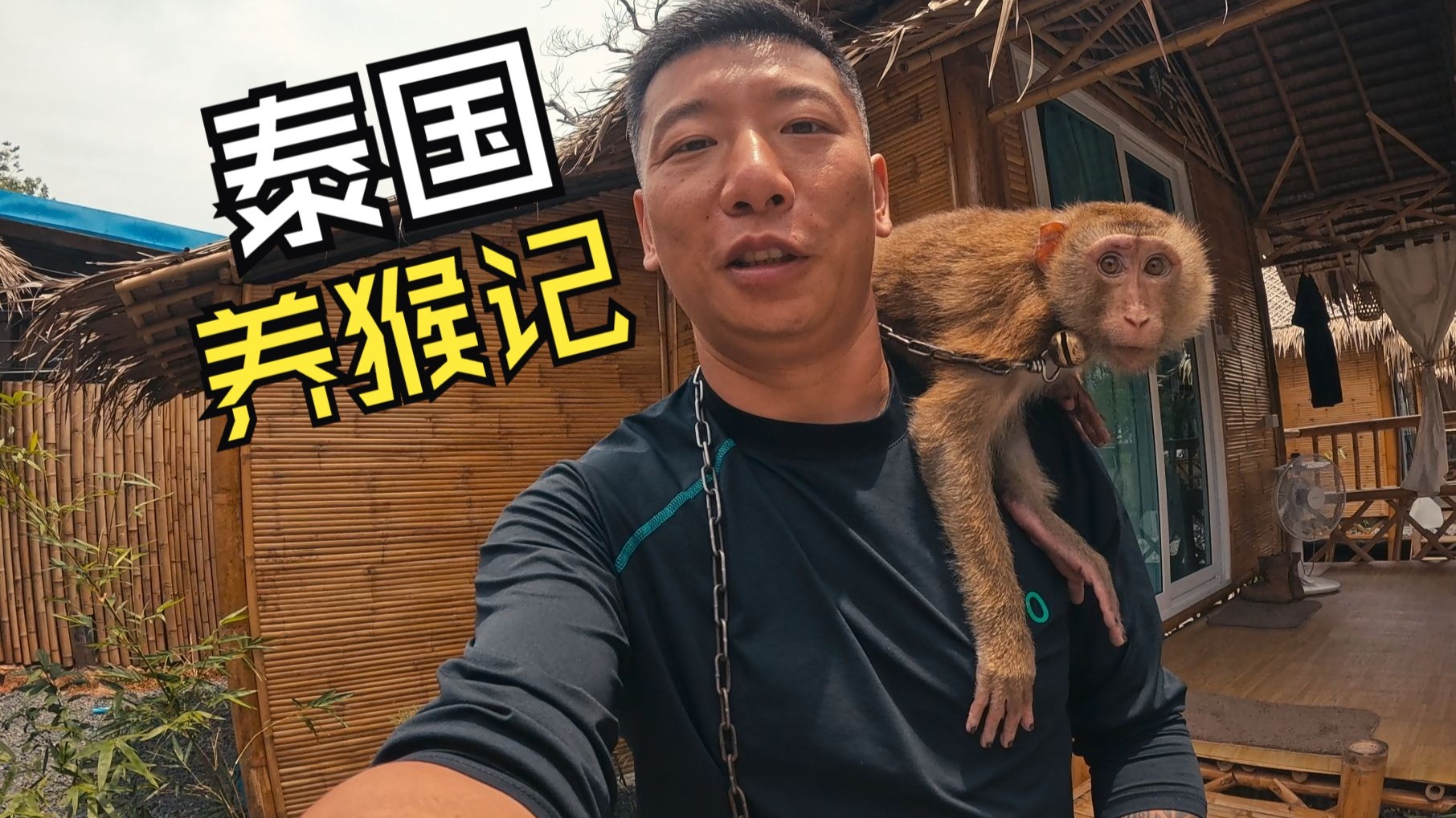 JY收集系统姜落柒作者菩萨蛮：深度解析其功能与特色