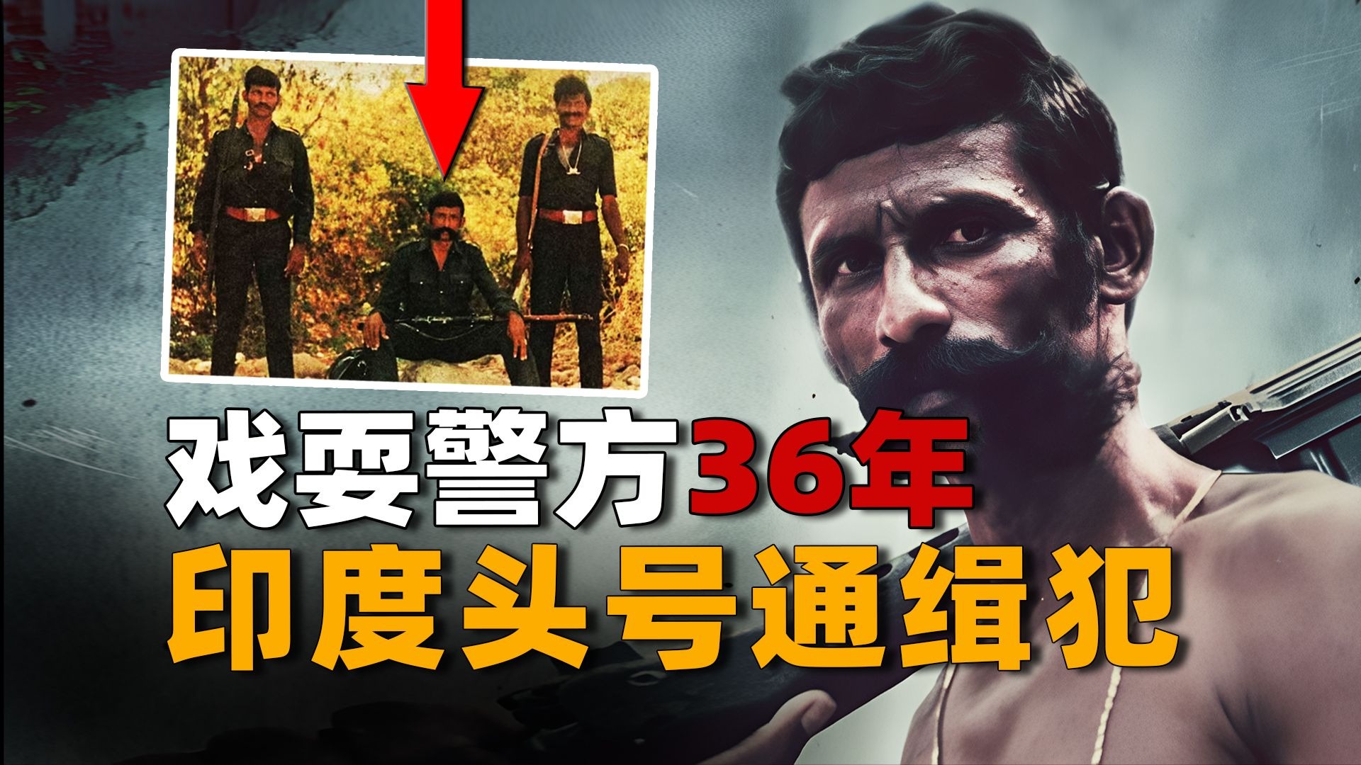 日韩电影深度粉倾情推荐：不容错过的佳作清单