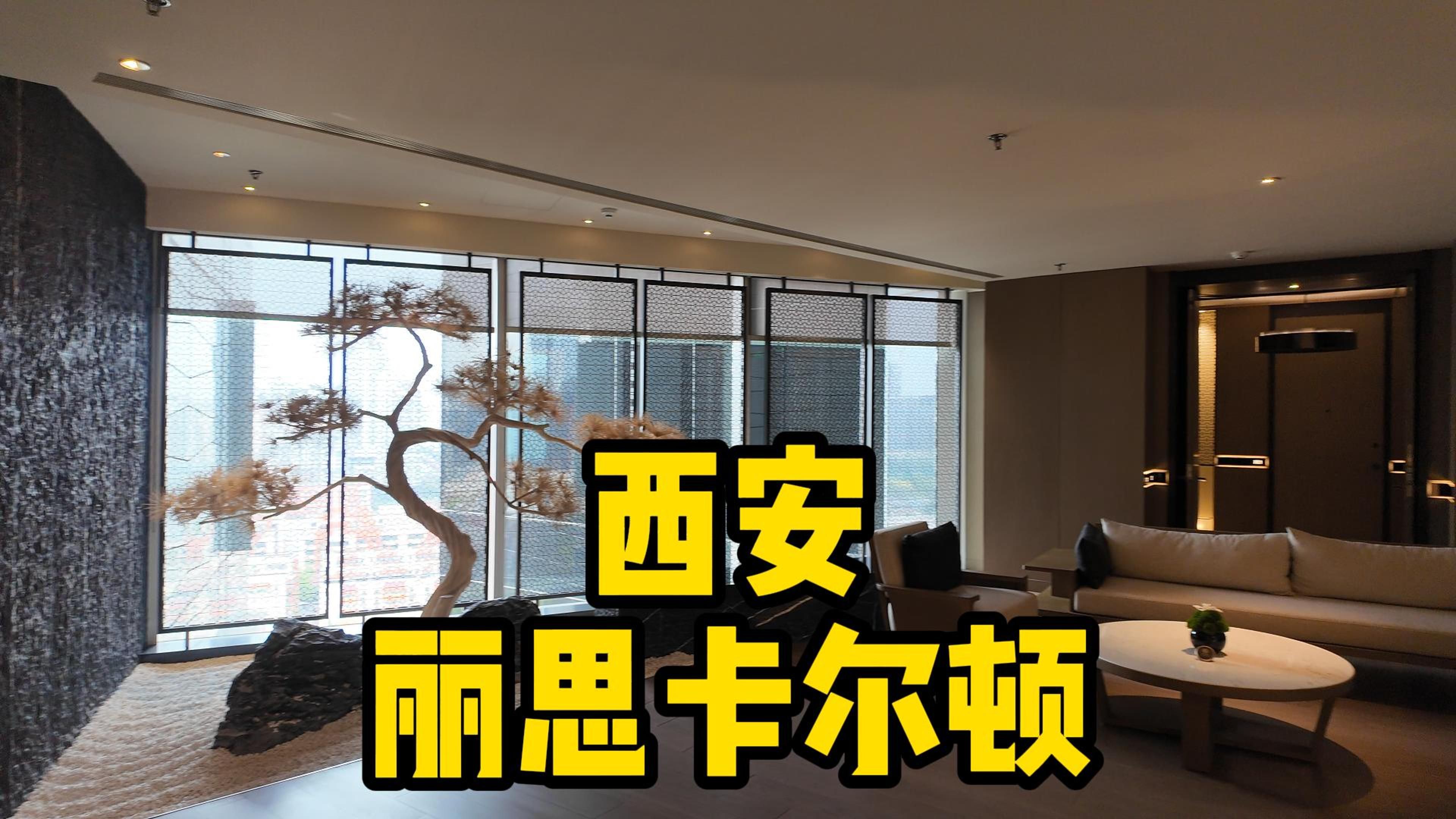 暴躁少女CSGO视频播放器推荐：告别卡顿，畅享丝滑游戏体验