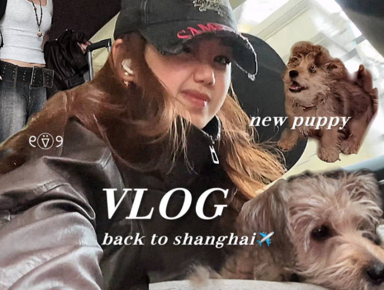 成全你的动漫梦：免费在线观看高清动漫的秘密基地
