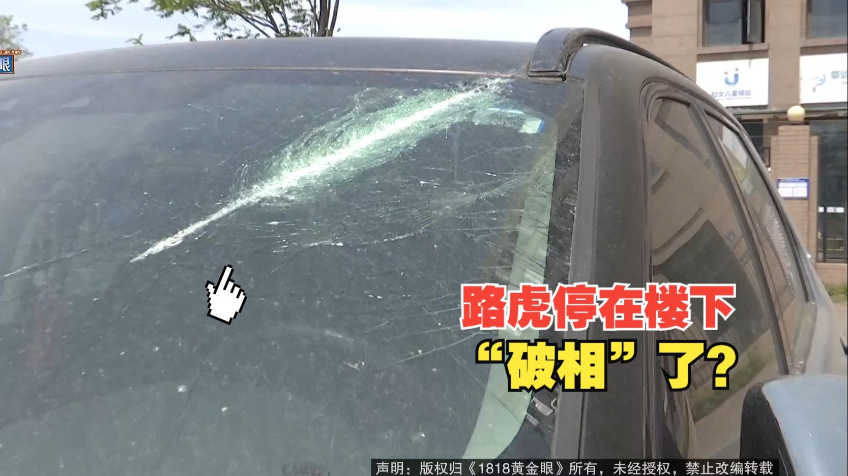你俩坐一桌？前《星鸣特攻》开发者力挺棒鸡《马拉松》