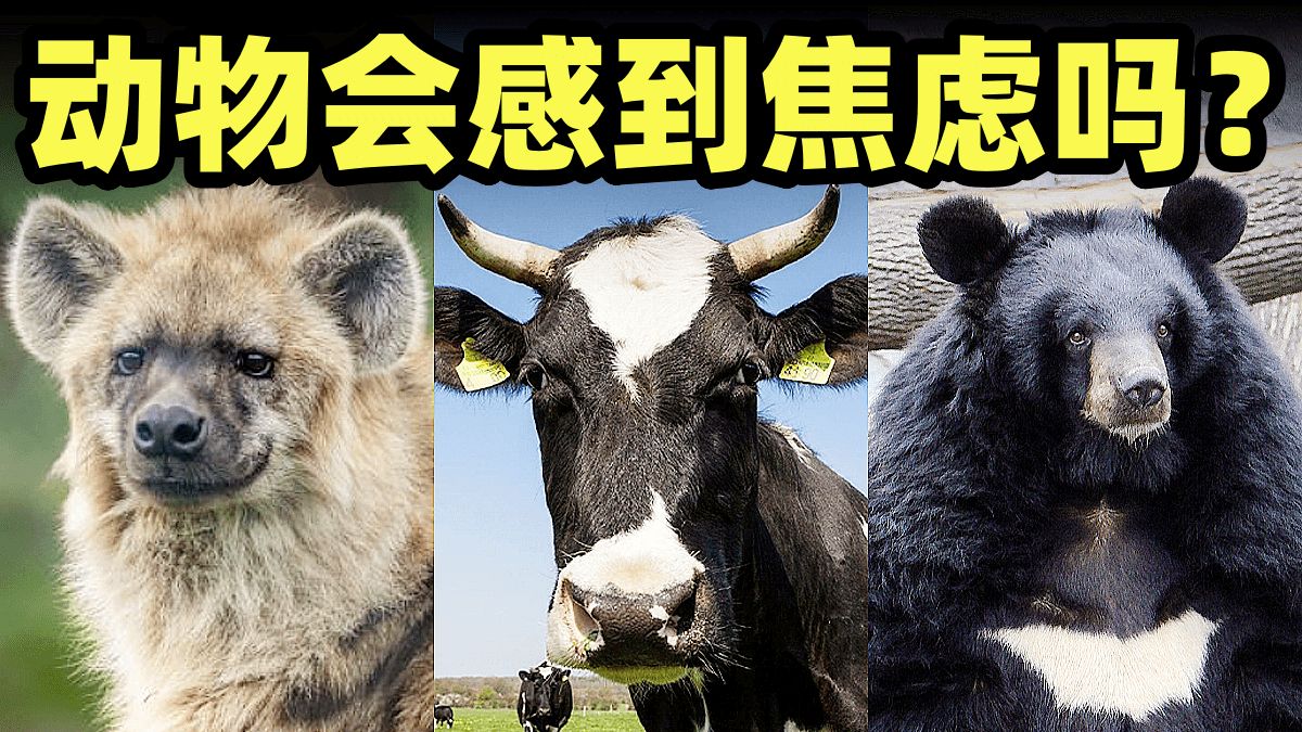 成品软件十大免费下载：告别高价，我的省钱秘籍