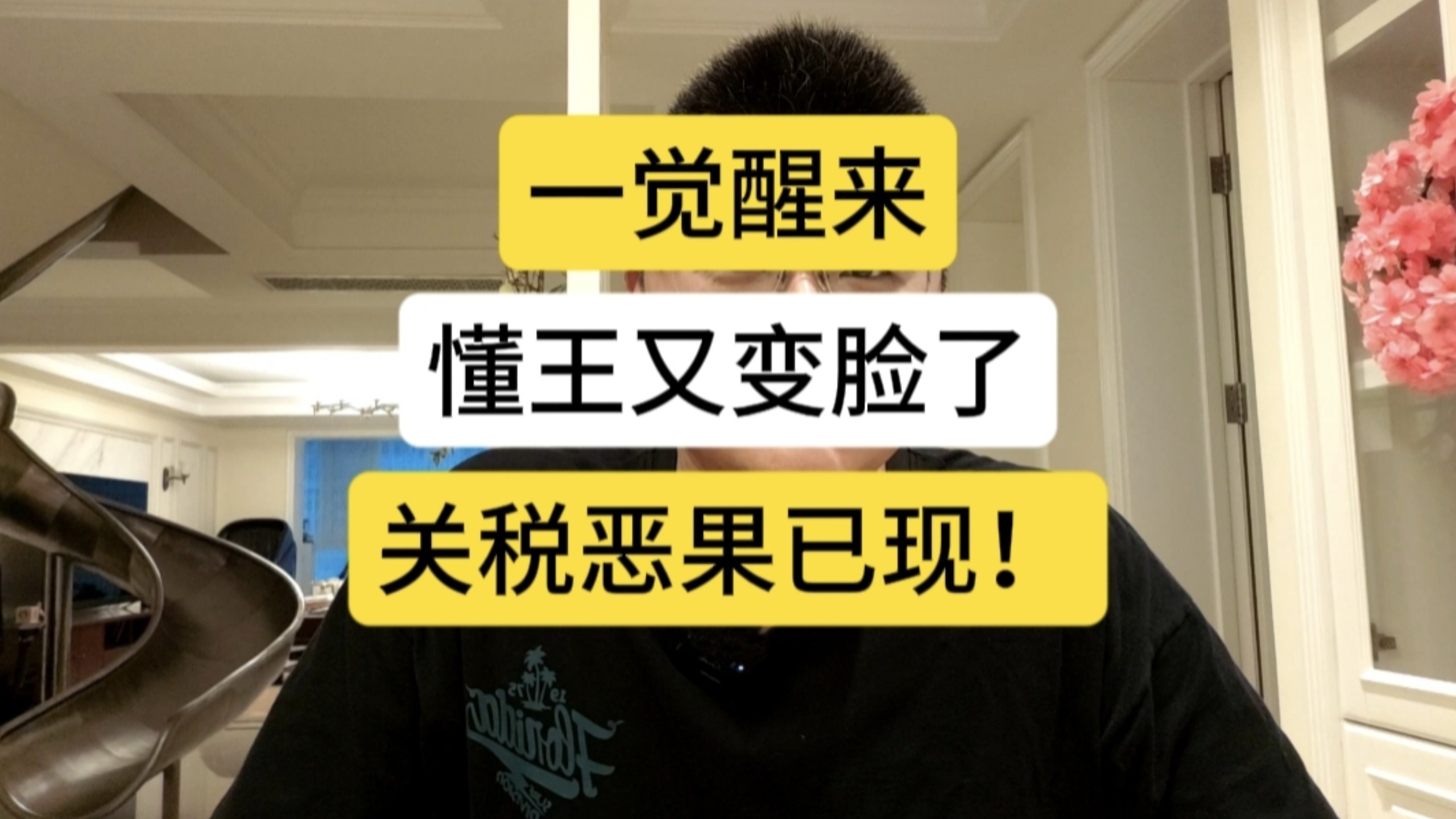Ecosia浏览器入口：环保上网，从这里开始！