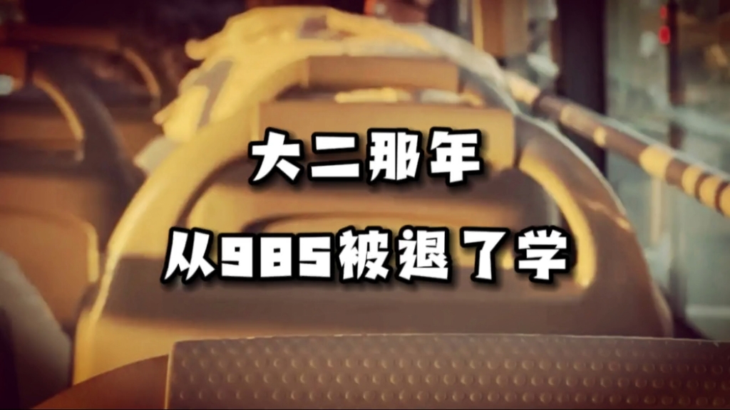 仙女棒的秘密花园：一次意想不到的舒适体验