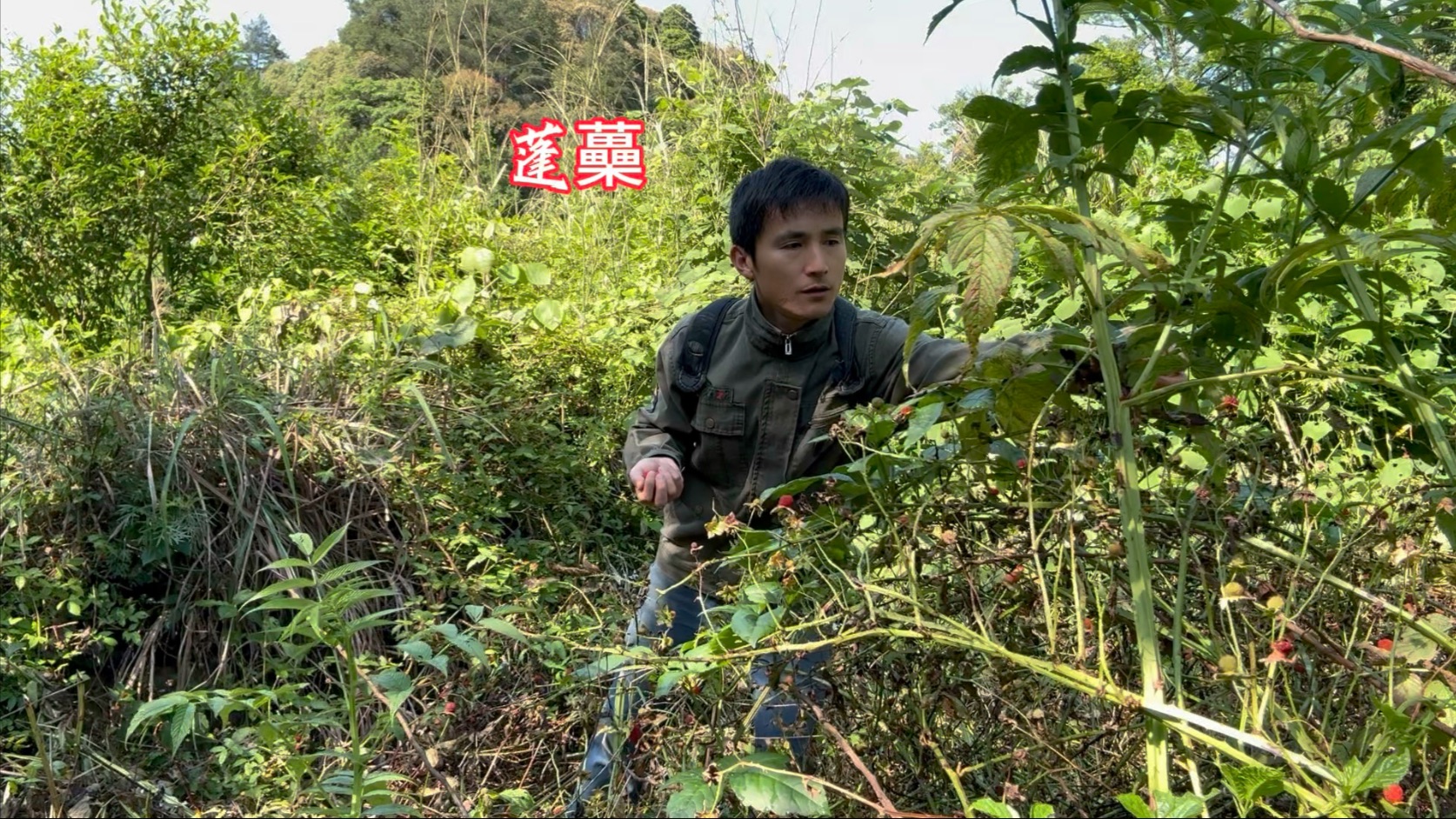 在公交车上被撞了八次高黄：原因分析与防范措施