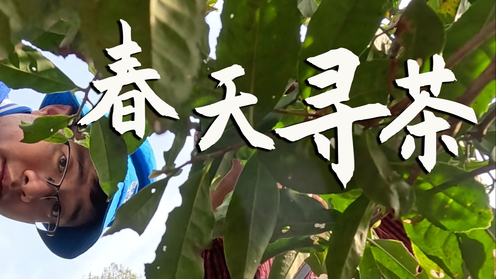 一夫多妻制晚上怎么玩？深度揭秘夜生活和谐之道