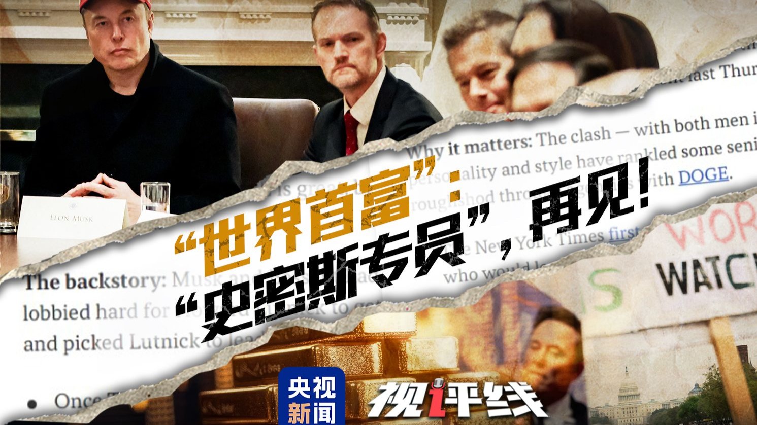 拔萝卜在线视频免费观看：童年回忆与现代网络的奇妙碰撞
