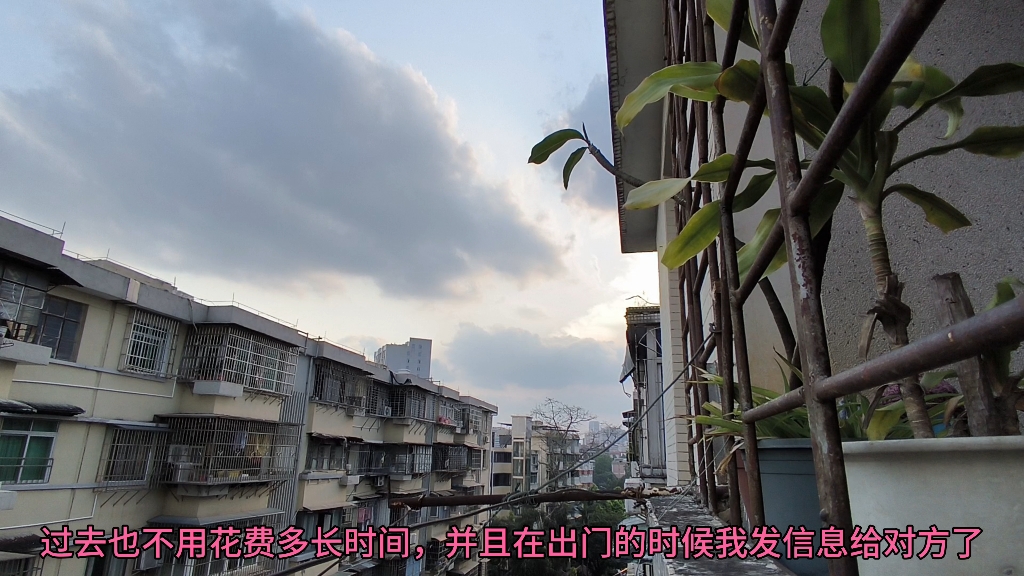 揭秘！糖心Logo官方网站在线观看的独家体验与避坑指南