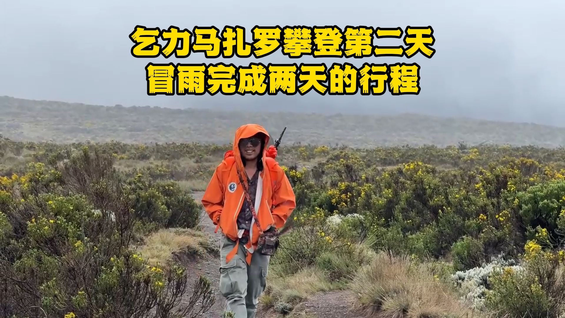 办公室强肝的播出方式与评价：高清资源在线观看及网友口碑分析