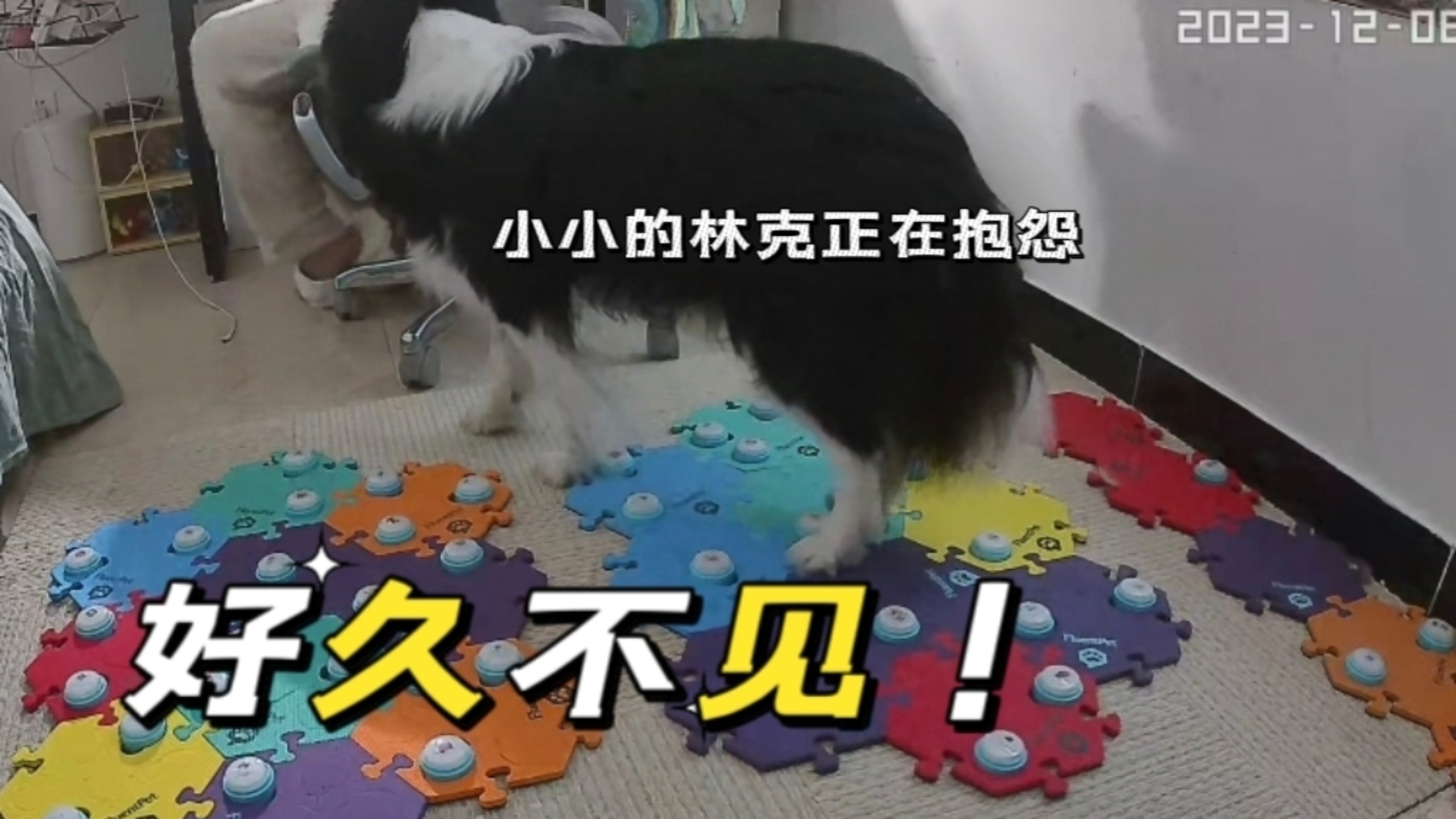 7x7x7x任意噪cjwic：挑战极限，突破认知的探索之旅