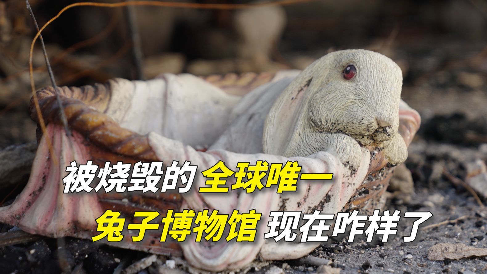 4399影视大全免费观看韩国：高清韩剧电影在线畅享