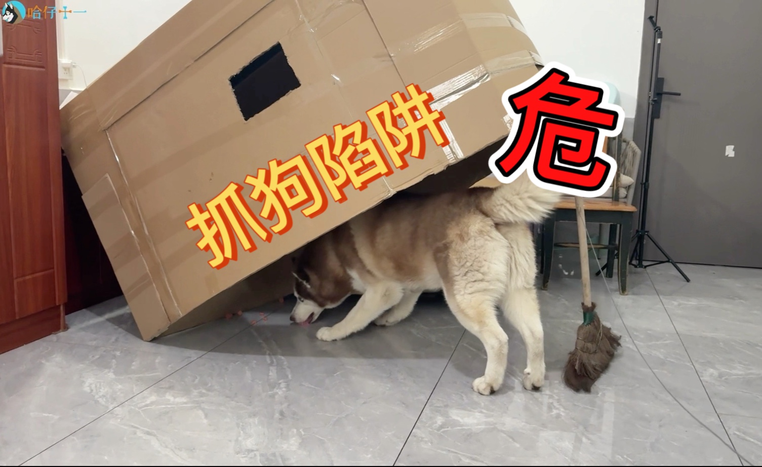 老人船上弄雨荷第13集：惊险与温情交织，结局竟是…