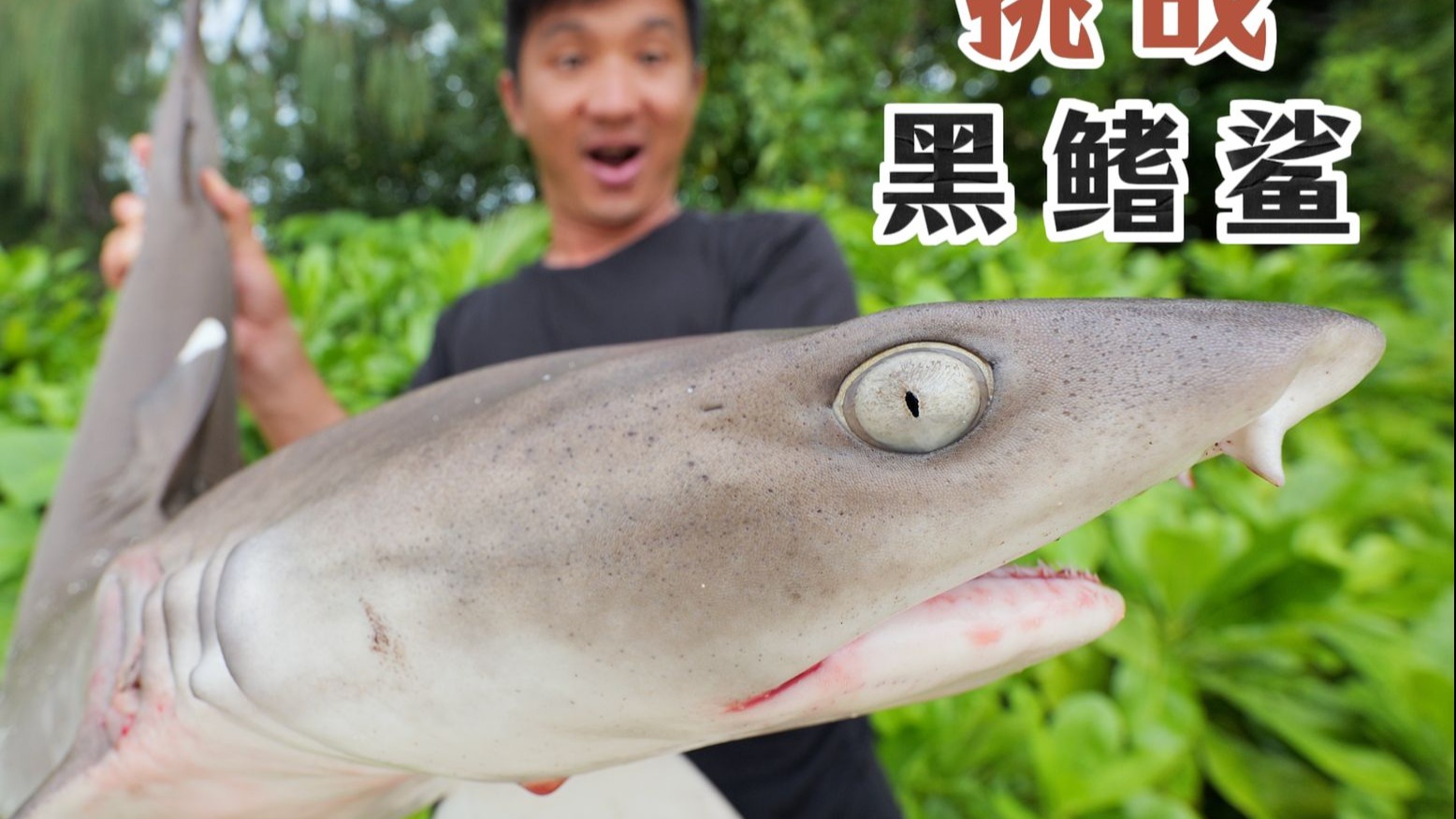 双男主CP的秘密花园：从兄弟情深到水声潺潺